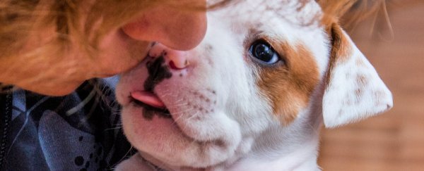 Woman’s Arms Get Amputated After The Dog Gave Her A Bacterial Infection