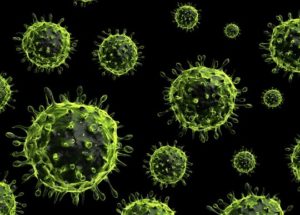 Canada Sends Lethal Viruses To China