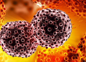 Cancer Cells Turned Into Fat To Stop Cancer Development