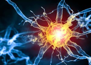 New Pain-Sensing Organ Discovered In The Skin