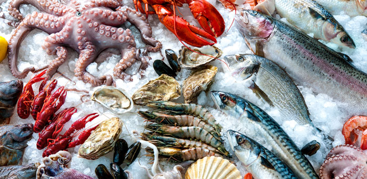 Seafood Contains High Level Of Toxic Substances As A Result Of Climate Change