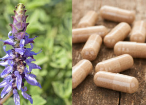 Best Forskolin Supplements from 2019’s Market – Reviews and Recommendation