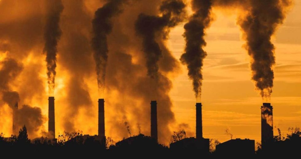 Air Pollution Can Reach The Placenta During Pregnancy, Affecting The Fetus