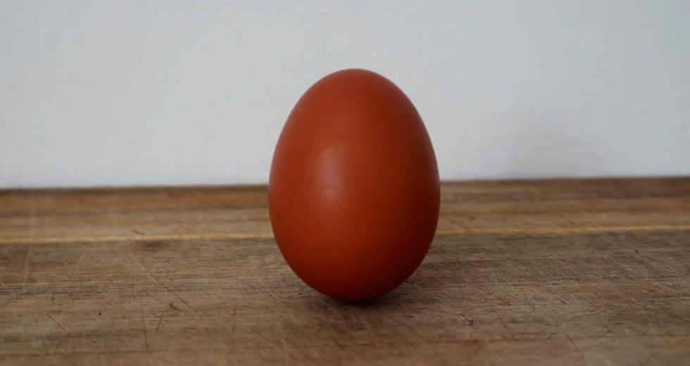 An ode for the egg – Why are eggs healthy?