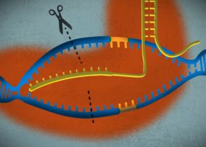 Discoveries in Microbiology – And how they could affect you