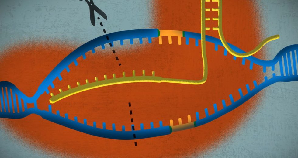Discoveries in Microbiology – And how they could affect you