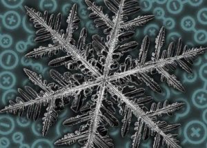Fractal Patterns in a Quantum Material? What Scientists Say