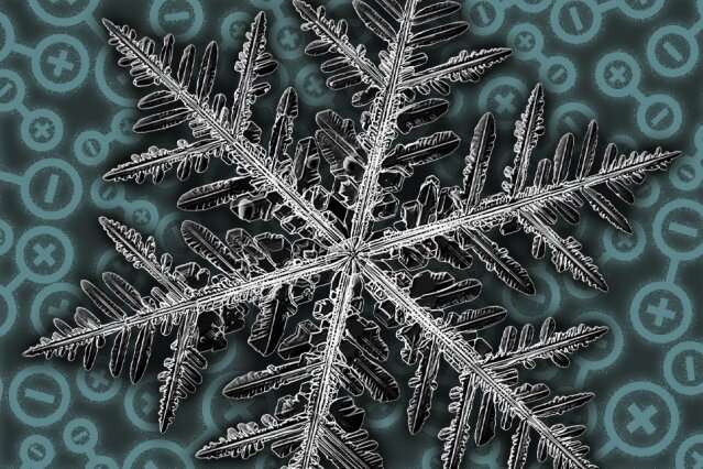 Fractal Patterns in a Quantum Material? What Scientists Say