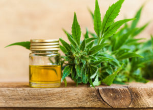 CBD and Weight Loss: What There Is To Know