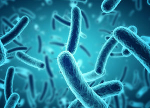 Bacteria use an Interesting Mechanism to Survive in the Human gut