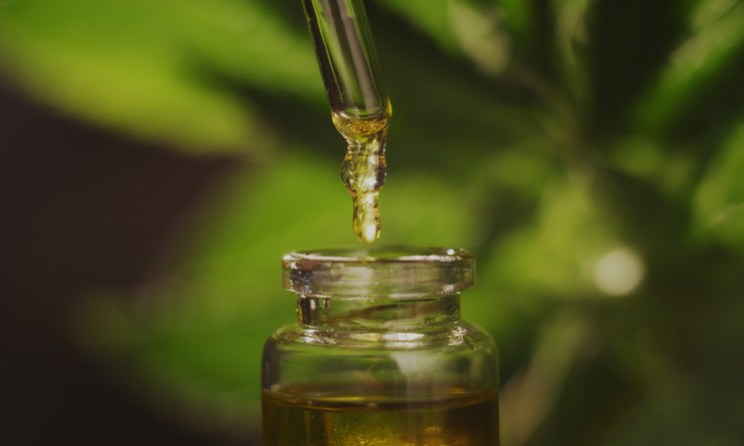 What is CBD Oil and it’s Few Benefits?