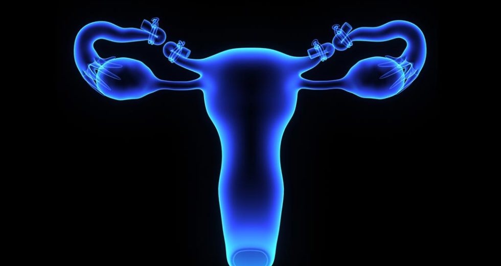 Endometriosis Is Treated with Opioids: Why Isn’t It a Good Idea