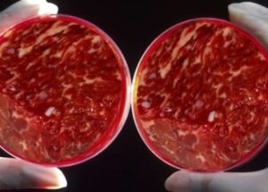 New Kind of Artificial Flesh Was Created – Is It Close to the Real Deal?