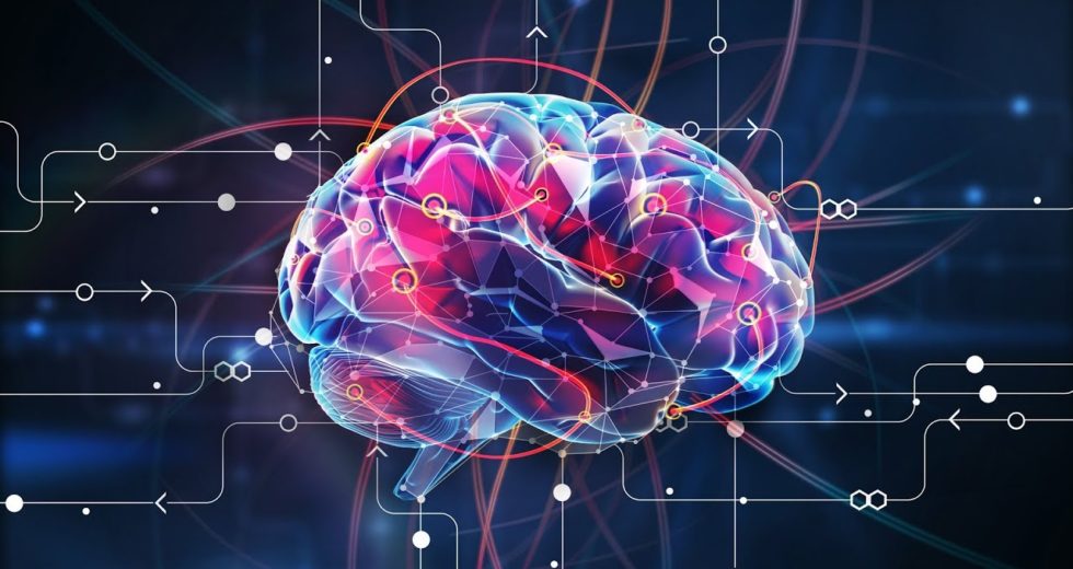 Belly Fat Affects People’s Fluid Intelligence