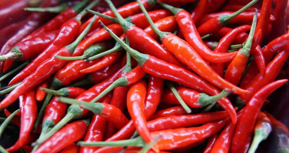 Chili Peppers Reduce The Risk of Mortality, New Research Demonstrates