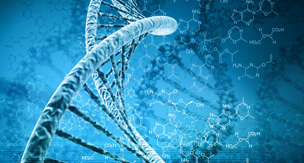New CRISPR Usage Method Targets Genes That Are Resistant To Antibiotics