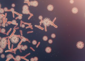Groups of Microbes Help the Human Body