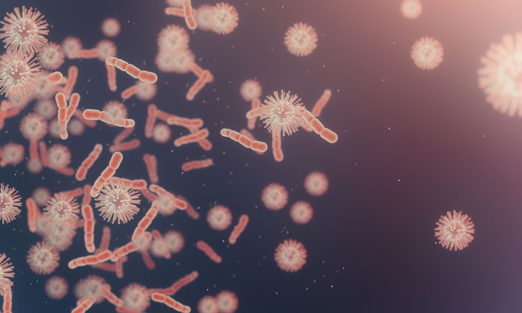 Groups of Microbes Help the Human Body