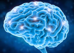 Inputs to the Motor Cortex Can Support Agile Actions in Mice