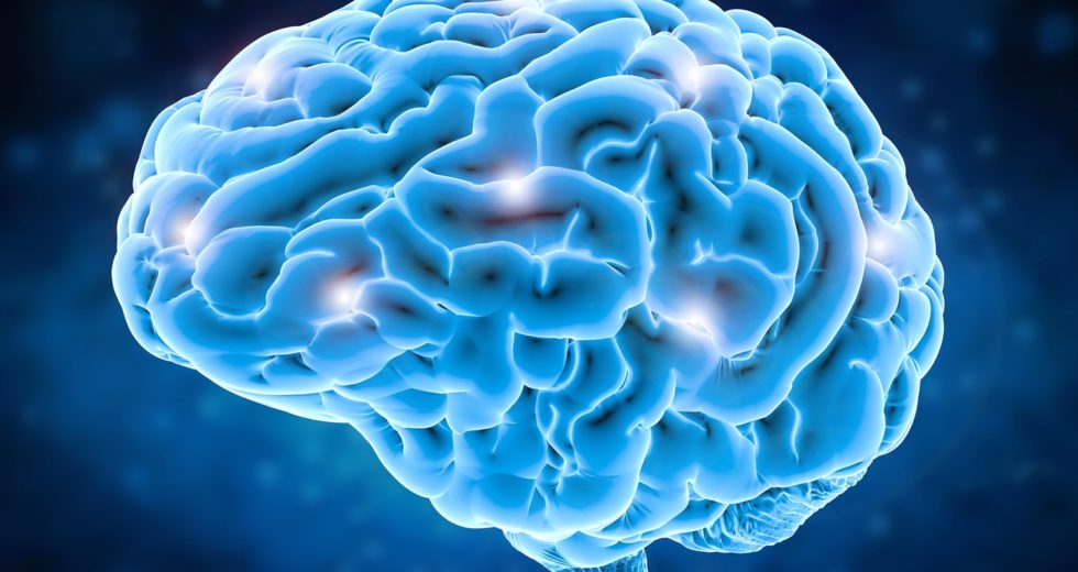 Inputs to the Motor Cortex Can Support Agile Actions in Mice