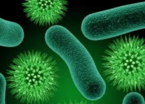 Peptides Might Help Us Fight Superbugs