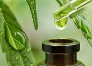 Cannabidiol: The Ins and Outs