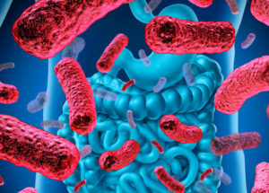 Diseases Believed to Be Non-Contagious Could Spread Through Gut Bacteria