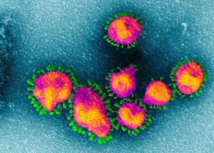 The New Coronavirus Reached Canada, Health Officials Warned