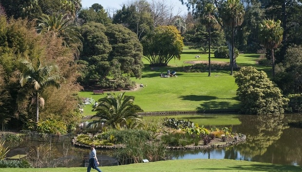 Living Near Green Spaces Boosts Mental Health And Wellbeing
