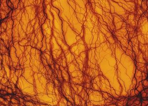 Scientists Created The First Molecular Map Of Tissue