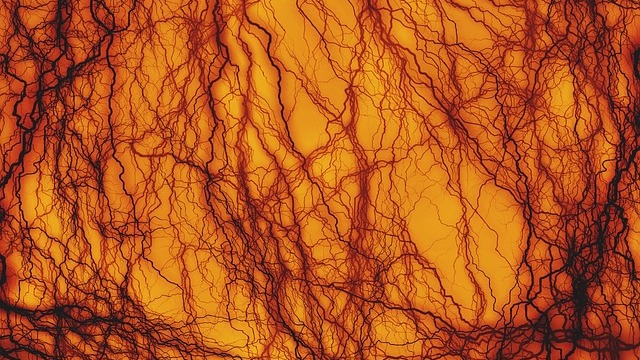 Scientists Created The First Molecular Map Of Tissue