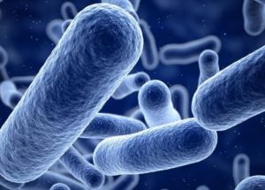 Scientists Identified a New Deadly Superbug