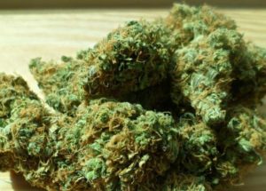 Smoking Marijuana Led To More Than 2 Million Patients With Heart Diseases In 2016, New Research Revealed