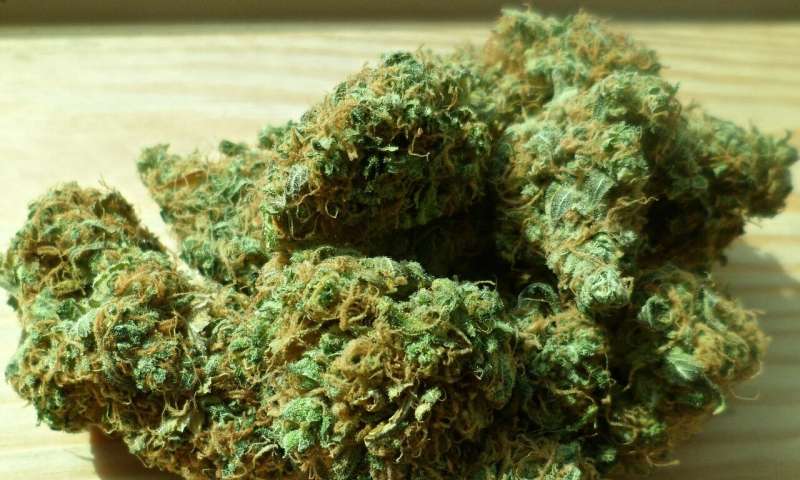 Smoking Marijuana Led To More Than 2 Million Patients With Heart Diseases In 2016, New Research Revealed