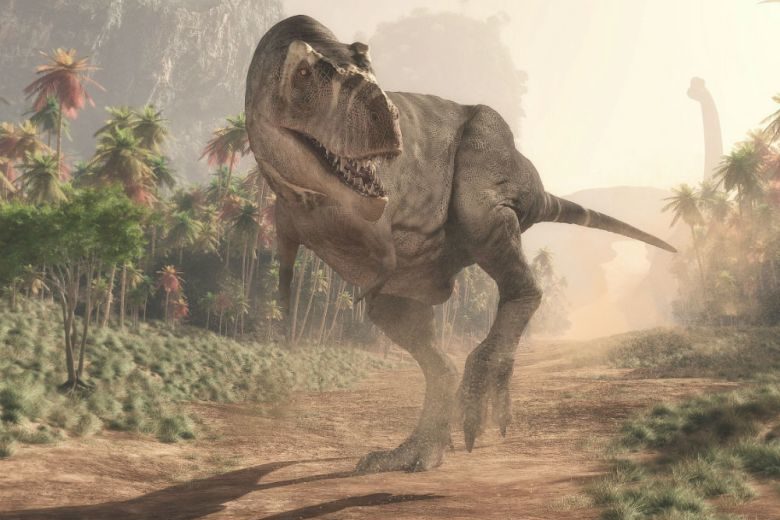 Paleontologists Unveiled Information About Young T-Rex