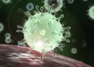 Wuhan Coronavirus in Canada — Health Officials Confirmed The Second Case