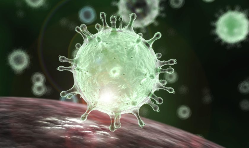 Wuhan Coronavirus in Canada — Health Officials Confirmed The Second Case