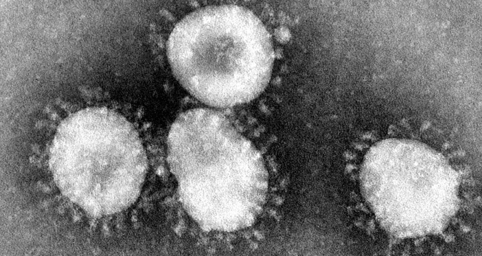 The New Coronavirus: A Chinese Bioweapon Against The USA? Tom Cotton Says