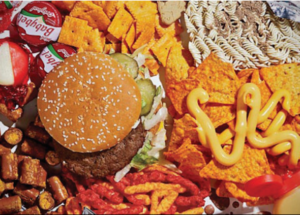 Western Diet Can Lead To Brain Damage