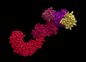 Anti-Inflammatory “Trigger” Might Treat Diabetes, Multiple Sclerosis, and Early Aging