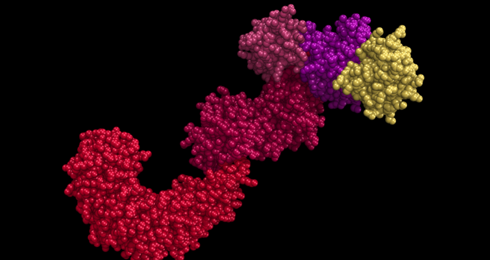 Anti-Inflammatory “Trigger” Might Treat Diabetes, Multiple Sclerosis, and Early Aging