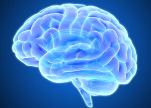 The Brain Fails at Pursuing a Goal Because Reward Fades When it Comes to Effort, New Research Revealed