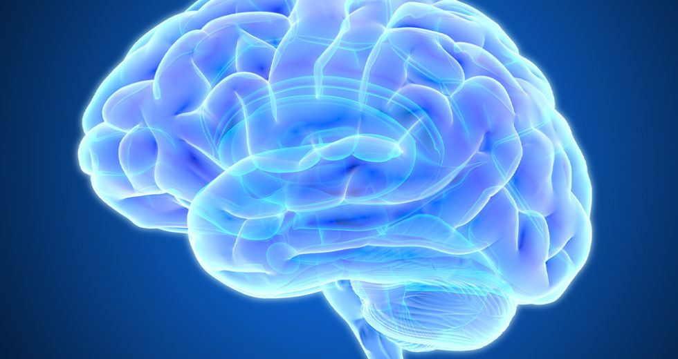 The Brain Fails at Pursuing a Goal Because Reward Fades When it Comes to Effort, New Research Revealed