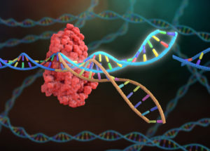 Cancer Patients Treated Safely Via CRISPR In A New Experiment