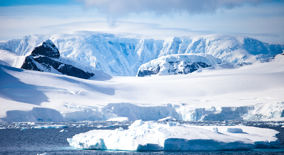 Scientists Explored The Collapse Of The Thwaites Glacier With Icefin, A Robotic Submarine