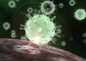 New Study Confirms Only Some Mild Infections of Coronavirus