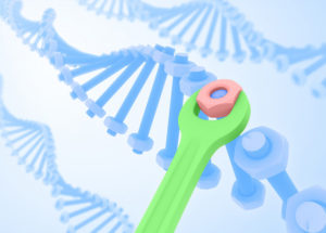 DNA Repair Method Developed By Scientists At The University of Toronto