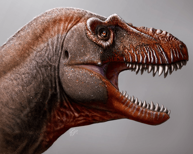 Researchers Learn More About a Fascinating Dinosaur Species