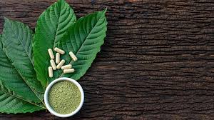 All Things Kratom – What to Expect From This Herb