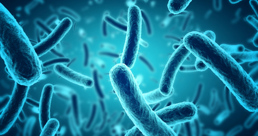 Microbes Are The Key To Improved Health And Slower Aging